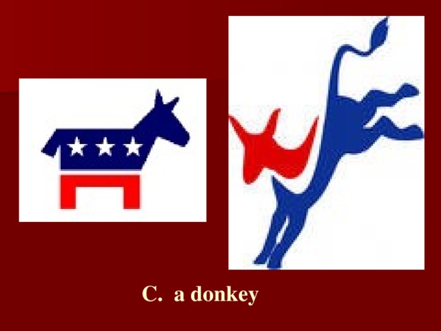 C.  a donkey