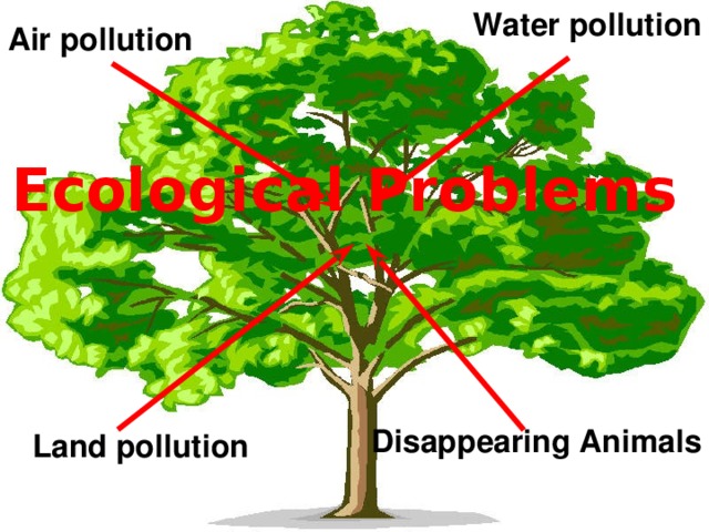 What is the main idea of the text ? What does the word Ecology mean? What ecological problems do you know?