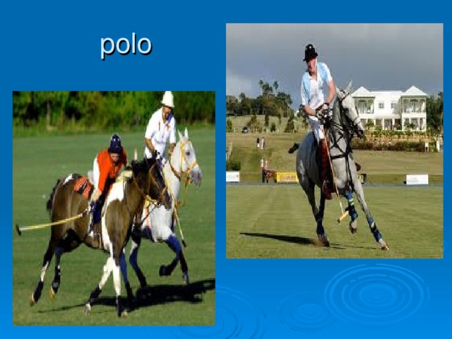 polo