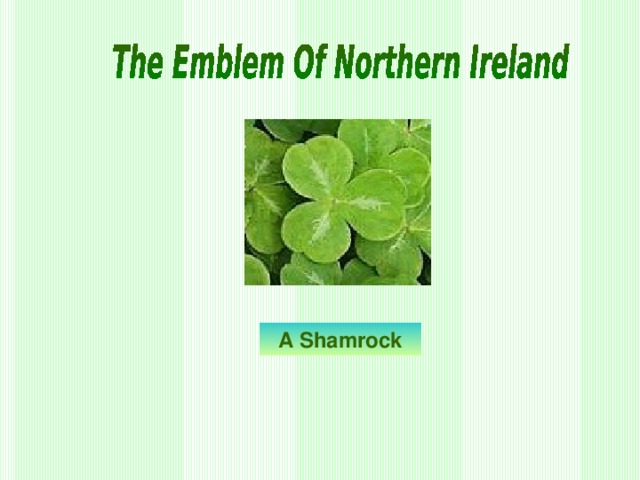 A Shamrock