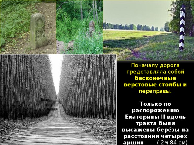 Все мое внимание было обращено на верстовые. Екатериновский тракт в Сибири. Екатерининский тракт в Сибири. Екатерининские березы на Сибирском тракте. Екатерининская дорога Ахуново.