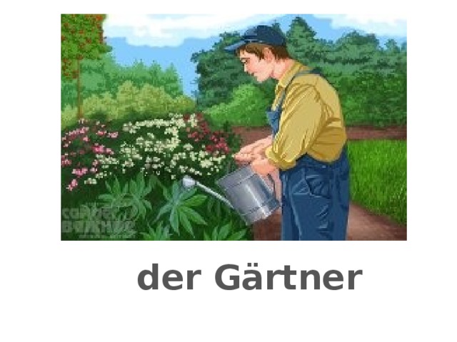 der Gärtner