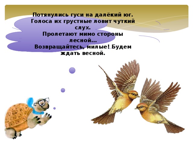 Потянулись гуси на далёкий юг. Голоса их грустные ловит чуткий слух. Пролетают мимо стороны лесной… Возвращайтесь, милые! Будем ждать весной.