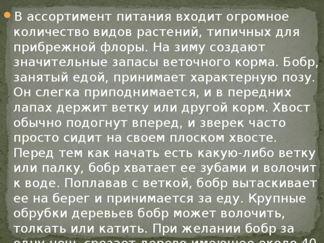 В ассортимент питания входит огромное количество видов растений, типичных для прибрежной флоры. На зиму создают значительные запасы веточного корма. Бобр, занятый едой, принимает характерную позу. Он слегка приподнимается, и в передних лапах держит ветку или другой корм. Хвост обычно подогнут вперед, и зверек часто просто сидит на своем плоском хвосте. Перед тем как начать есть какую-либо ветку или палку, бобр хватает ее зубами и волочит к воде. Поплавав с веткой, бобр вытаскивает ее на берег и принимается за еду. Крупные обрубки деревьев бобр может волочить, толкать или катить. При желании бобр за одну ночь срезает дерево имеющее около 40 см в диаметре.