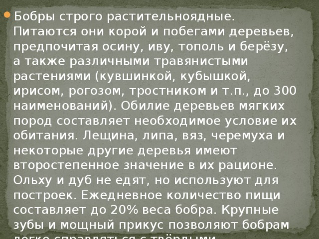 Бобры строго растительноядные. Питаются они корой и побегами деревьев, предпочитая осину, иву, тополь и берёзу, а также различными травянистыми растениями (кувшинкой, кубышкой, ирисом, рогозом, тростником и т.п., до 300 наименований). Обилие деревьев мягких пород составляет необходимое условие их обитания. Лещина, липа, вяз, черемуха и некоторые другие деревья имеют второстепенное значение в их рационе. Ольху и дуб не едят, но используют для построек. Ежедневное количество пищи составляет до 20% веса бобра. Крупные зубы и мощный прикус позволяют бобрам легко справляться с твёрдыми растительными кормами.