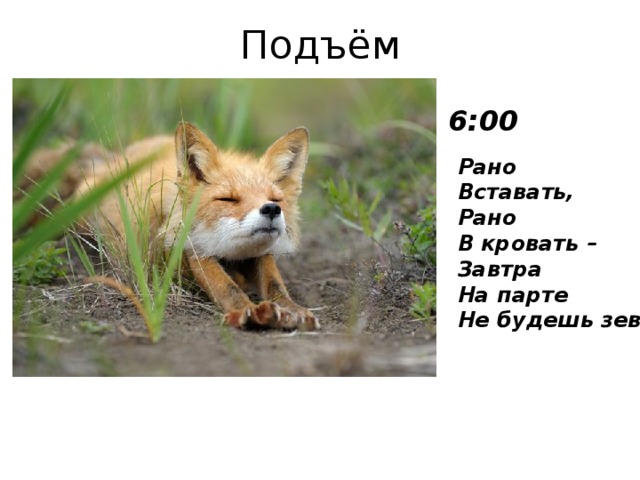 Подъём 6:00 Рано  Вставать,  Рано  В кровать –  Завтра  На парте  Не будешь зевать .