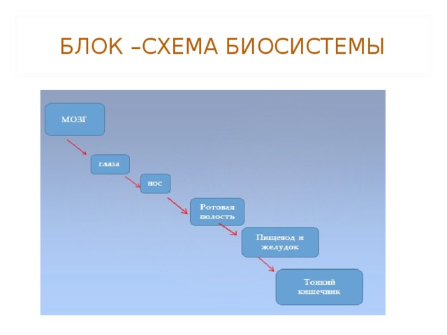 Биосистема это