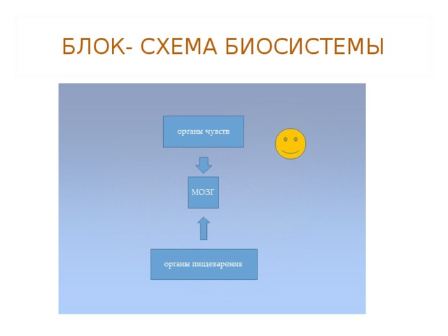 БЛОК- СХЕМА БИОСИСТЕМЫ