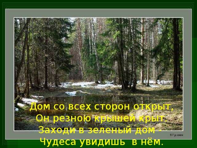 Дом со всех сторон открыт, Он резною крышей крыт. Заходи в зеленый дом - Чудеса увидишь в нём.