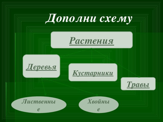 Дополни схему Растения Деревья Кустарники Травы Лиственные Хвойные