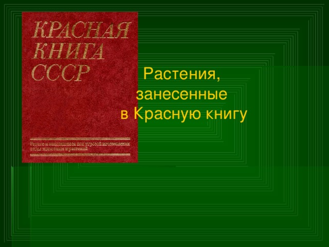 Растения, занесенные в Красную книгу