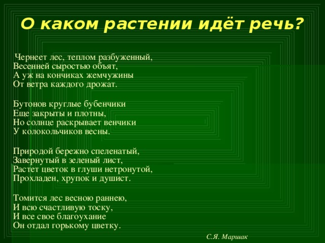 О каком растении идёт речь?  Чернеет лес, теплом разбуженный,  Весенней сыростью объят,  А уж на кончиках жемчужины  От ветра каждого дрожат.  Бутонов круглые бубенчики  Еще закрыты и плотны,  Но солнце раскрывает венчики  У колокольчиков весны.  Природой бережно спеленатый,  Завернутый в зеленый лист,  Растет цветок в глуши нетронутой,  Прохладен, хрупок и душист.  Томится лес весною раннею,  И всю счастливую тоску,  И все свое благоухание  Он отдал горькому цветку.   С.Я. Маршак