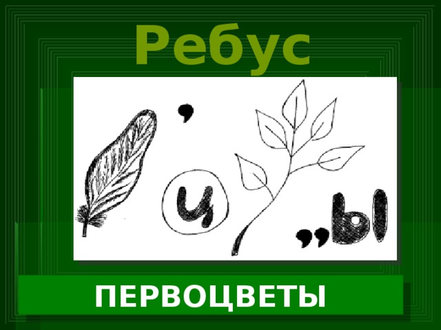 Ребус ПЕРВОЦВЕТЫ