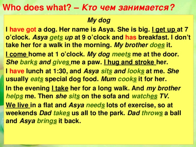 Who does what? – Кто чем занимается? My dog I have got a dog. Her name is Asya. She is big. I get up at 7 o’clock. Asya get s up at 9 o’clock and has breakfast. I don’t take her for a walk in the morning. My brother do es  it. I come home at 1 o’clock. My dog meet s  me at the door. She bark s and give s  me a paw. I hug and stroke her. I have lunch at 1:30, and Asya sit s and look s  at me. She usually eat s special dog food. Mum cook s  it for her. In the evening I take her for a long walk. And my brother help s me. Then she sit s  on the sofa and watch es TV . We live in a flat and Asya need s  lots of exercise, so at weekends Dad take s  us all to the park. Dad throw s  a ball and Asya bring s  it back.