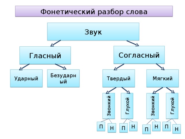 Звонкий Звонкий Глухой Глухой Фонетический разбор слова Звук Согласный Гласный Мягкий Твердый Безударный Ударный Н Н П П П Н Н П