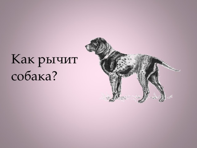 Как рычит собака?