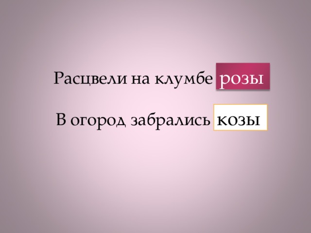 розы Расцвели на клумбе козы   В огород забрались розы козы