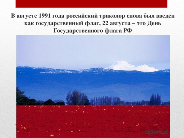 В августе 1991 года российский триколор снова был введен как государственный флаг, 22 августа – это День Государственного флага РФ