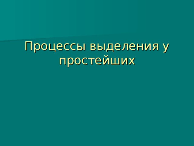 Процессы выделения у простейших