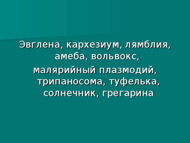 Эвглена, кархезиум, лямблия, амеба, вольвокс, малярийный плазмодий, трипаносома, туфелька, солнечник, грегарина