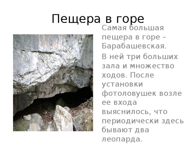 Пещера в горе Самая большая пещера в горе – Барабашевская. В ней три больших зала и множество ходов. После установки фотоловушек возле ее входа выяснилось, что периодически здесь бывают два леопарда.