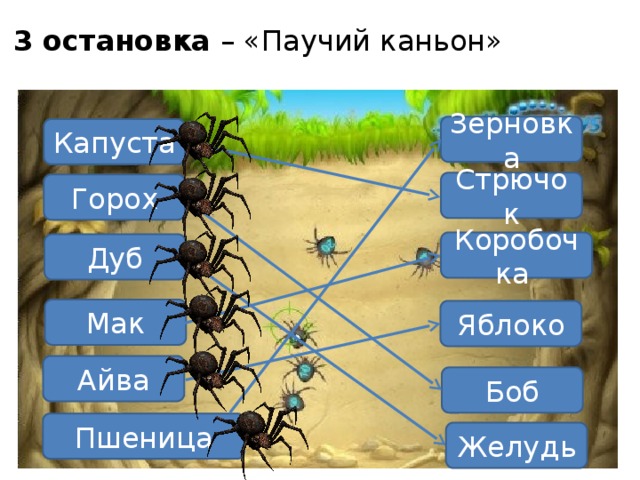 3 остановка – «Паучий каньон» Зерновка Капуста Стрючок Горох Коробочка Дуб Мак Яблоко Айва Боб Пшеница Желудь