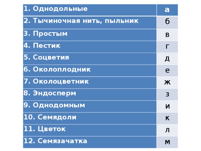 1. Однодольные а 2. Тычиночная нить, пыльник б 3. Простым в 4. Пестик г 5. Соцветия д 6. Околоплодник 7. Околоцветник е ж 8. Эндосперм з 9. Однодомным и 10. Семядоли к 11. Цветок л 12. Семязачатка м