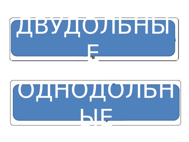 ДВУДОЛЬНЫЕ ОДНОДОЛЬНЫЕ