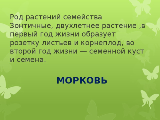 Род растений семейства Зонтичные, двухлетнее растение ,в первый год жизни образует розетку листьев и корнеплод, во второй год жизни — семенной куст и семена. МОРКОВЬ