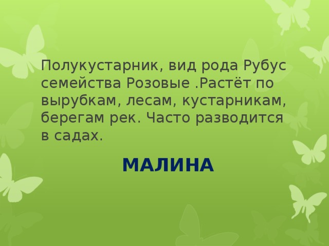 Полукустарник, вид рода Рубус семейства Розовые .Растёт по вырубкам, лесам, кустарникам, берегам рек. Часто разводится в садах. МАЛИНА