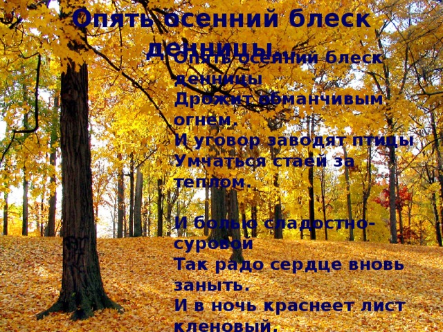 Опять осенний блеск денницы… Опять осенний блеск денницы Дрожит обманчивым огнем. И уговор заводят птицы Умчаться стаей за теплом. И болью сладостно-суровой Так радо сердце вновь заныть. И в ночь краснеет лист кленовый, Что, ночь любя, не в силах жить.