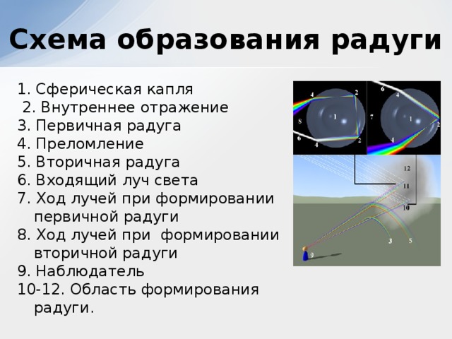 Схема образования радуги 1. Сферическая капля  2. Внутреннее отражение 3. Первичная радуга 4. Преломление 5. Вторичная радуга 6. Входящий луч света 7. Ход лучей при формировании первичной радуги 8. Ход лучей при формировании вторичной радуги 9. Наблюдатель 10-12. Область формирования радуги.