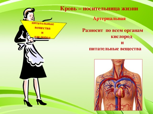 Кислородом и питательными веществами. Благодаря чему питательные вещества разносятся по организму. Питательные вещества разносятся по всему телу. Благодаря чему частицы питательных веществ разносятся по всему телу. Кислород и питательные вещества.