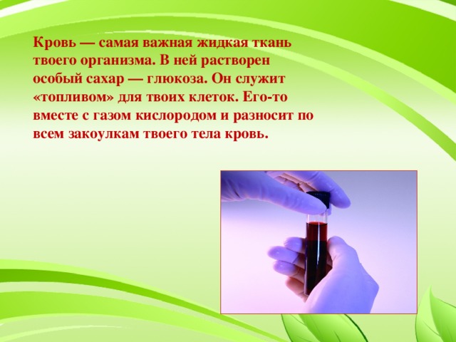 Кровь — самая важная жидкая ткань твоего организма. В ней растворен особый сахар — глюкоза. Он служит «топливом» для твоих клеток. Его-то вместе с газом кислородом и разносит по всем закоулкам твоего тела кровь.