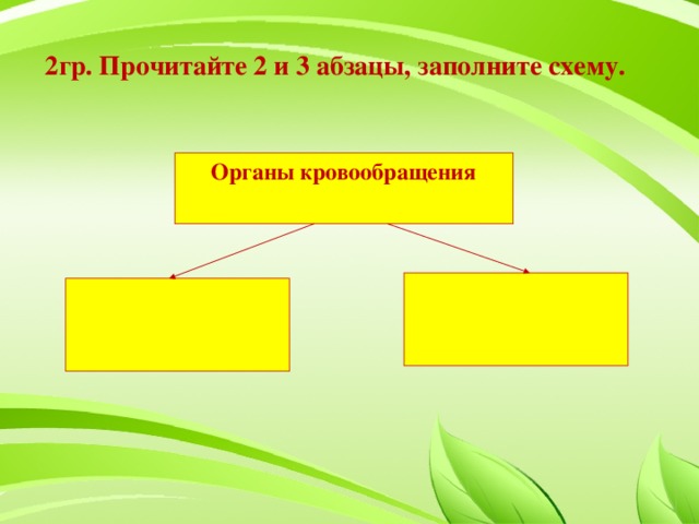 2гр. Прочитайте 2 и 3 абзацы, заполните схему.   Органы кровообращения