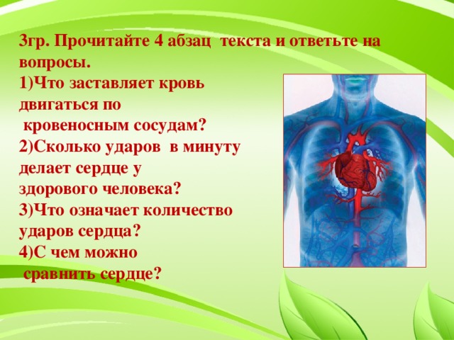 3гр. Прочитайте 4 абзац текста и ответьте на вопросы. 1)Что заставляет кровь двигаться по  кровеносным сосудам? 2)Сколько ударов в минуту делает сердце у здорового человека? 3)Что означает количество ударов сердца? 4)С чем можно  сравнить сердце?