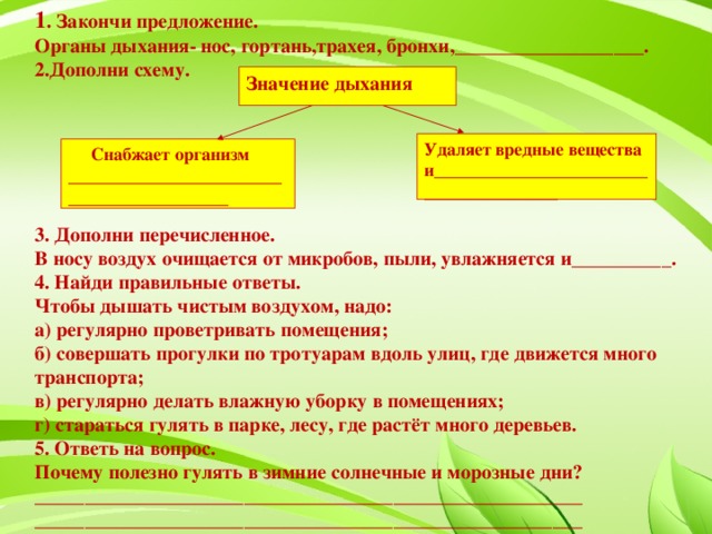 1 . Закончи предложение. Органы дыхания- нос, гортань,трахея, бронхи,___________________. 2.Дополни схему.  Значение дыхания Удаляет вредные вещества и_______________________________________  Снабжает организм __________________________________________  3. Дополни перечисленное. В носу воздух очищается от микробов, пыли, увлажняется и__________. 4. Найди правильные ответы. Чтобы дышать чистым воздухом, надо: а) регулярно проветривать помещения; б) совершать прогулки по тротуарам вдоль улиц, где движется много транспорта; в) регулярно делать влажную уборку в помещениях; г) стараться гулять в парке, лесу, где растёт много деревьев. 5. Ответь на вопрос. Почему полезно гулять в зимние солнечные и морозные дни? _______________________________________________________ _______________________________________________________