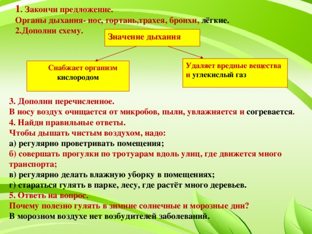 1 . Закончи предложение. Органы дыхания- нос, гортань,трахея, бронхи, лёгкие. 2.Дополни схему.  Значение дыхания Удаляет вредные вещества и углекислый газ  Снабжает организм кислородом  3. Дополни перечисленное. В носу воздух очищается от микробов, пыли, увлажняется и согревается . 4. Найди правильные ответы. Чтобы дышать чистым воздухом, надо: а) регулярно проветривать помещения; б) совершать прогулки по тротуарам вдоль улиц, где движется много транспорта; в) регулярно делать влажную уборку в помещениях; г) стараться гулять в парке, лесу, где растёт много деревьев. 5. Ответь на вопрос. Почему полезно гулять в зимние солнечные и морозные дни? В морозном воздухе нет возбудителей заболеваний.