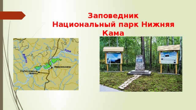 Заповедник  Национальный парк Нижняя Кама