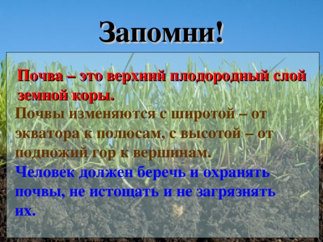 Запомни! Почва – это верхний плодородный слой земной коры. Почвы изменяются с широтой – от экватора к полюсам, с высотой – от подножий гор к вершинам. Человек должен беречь и охранять почвы, не истощать и не загрязнять их.