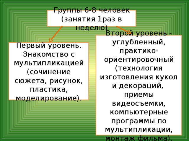 Группы 6-8 человек (занятия 1раз в неделю) Второй уровень - углубленный, практико-ориентировочный (технология изготовления кукол и декораций, приемы видеосъемки, компьютерные программы по мультипликации, монтаж фильма). Первый уровень. Знакомство с мультипликацией (сочинение сюжета, рисунок, пластика, моделирование).