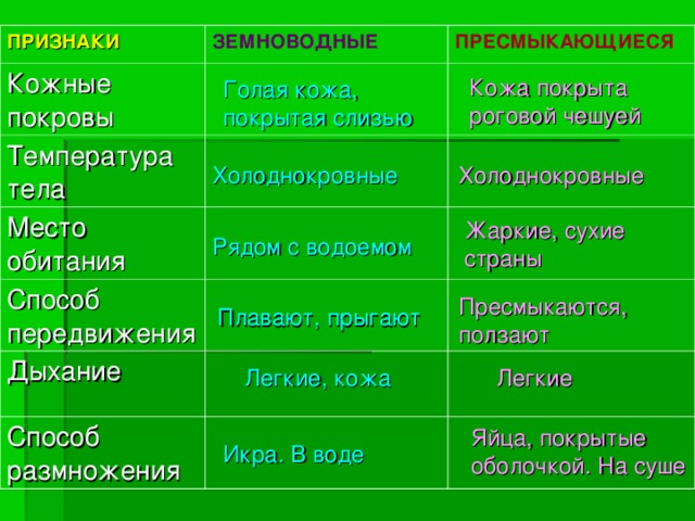 ПРИЗНАКИ Кожные покровы ЗЕМНОВОДНЫЕ Температура тела ПРЕСМЫКАЮЩИЕСЯ Место обитания Способ передвижения Дыхание Способ размножения Кожа покрыта  роговой чешуей Голая кожа, покрытая слизью Холоднокровные Холоднокровные Жаркие, сухие страны Рядом  с  водоемом Пресмыкаются, ползают Плавают, прыгают Легкие, кожа Легкие Яйца, покрытые оболочкой. На суше Икра. В воде