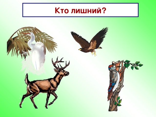 Кто лишний?