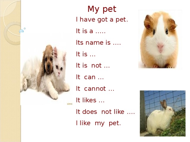 My pet I have got a pet. It is a ….. Its name is …. It is … It is not … It can … It cannot … It likes … It does not like …. I like my pet.
