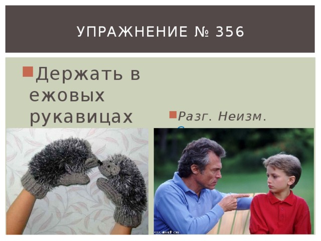 Упражнение № 356