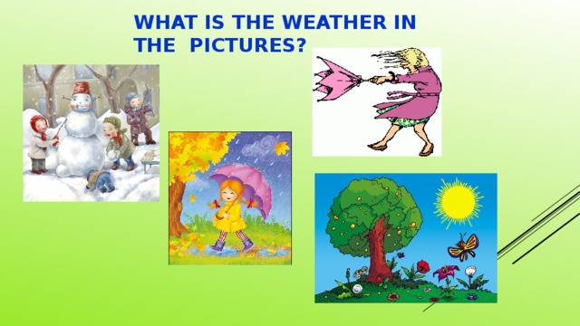 WHAT IS THE WEATHER IN THE PICTURES?
