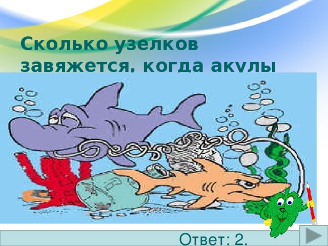 Сколько узелков завяжется, когда акулы потянут ленточку? Ответ: 2. 13