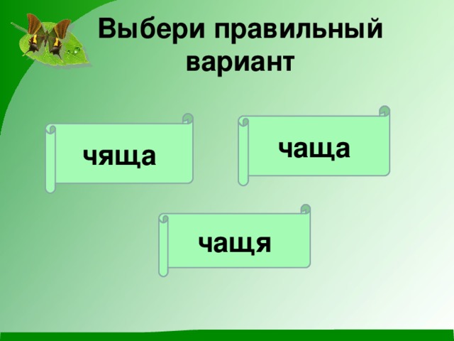 Выбери правильный вариант   чаща чяща чащя