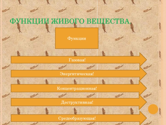 Средообразующая деятельность организмов 9 класс схема