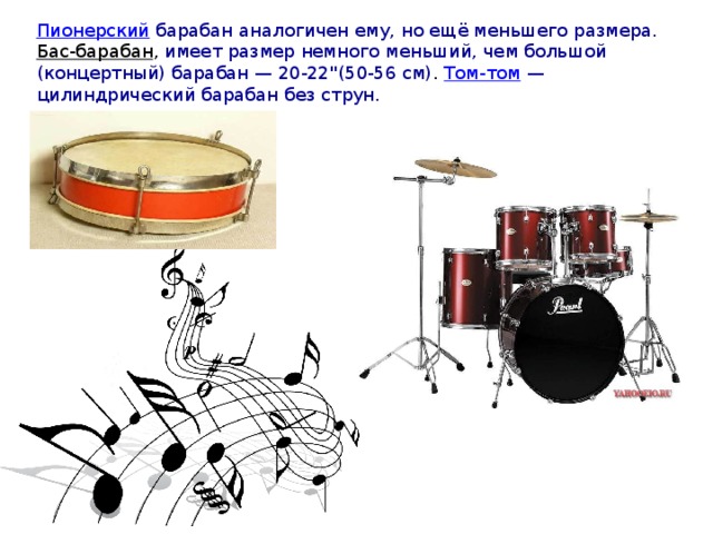 Пионерский  барабан аналогичен ему, но ещё меньшего размера. Бас-барабан , имеет размер немного меньший, чем большой (концертный) барабан — 20-22